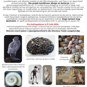 Kunskompetisie Skulp- en Batterykuns